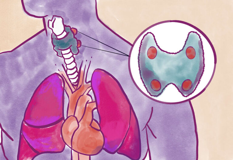 Meet the Parathyroid Meet the Parathyroid