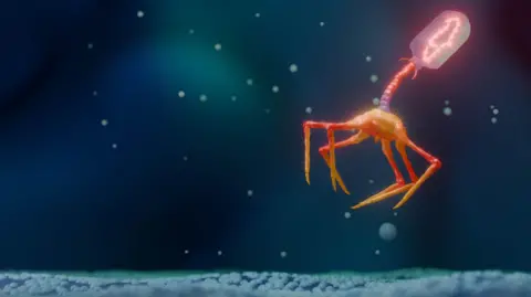 Getty Images This image is a scientific illustration of a bacteriophage. The bacteriophage is shown floating above a textured surface, with a geometric head, a segmented tail, and multiple thin leg-like structures extending from its base. The virus is rendered in glowing red, orange, and pink tones that contrast sharply with the dark blue background. Small, out-of-focus particles are scattered throughout the scene, creating the impression of a microscopic environment. The composition emphasizes the unusual shape of the bacteriophage and its isolation within a stylized, magnified biological setting.