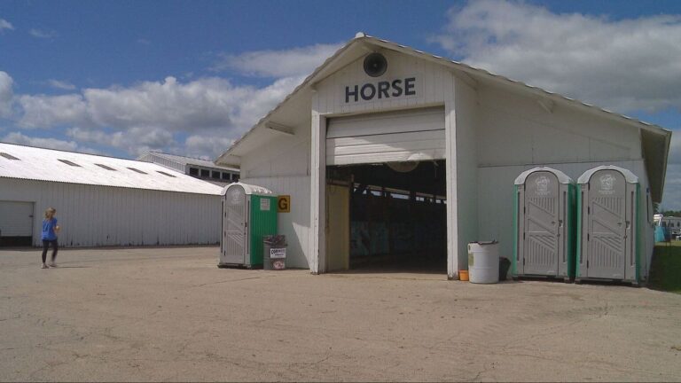 Brown County Fair says no exposure to 'strangles' among its horses, cases reported nearby
