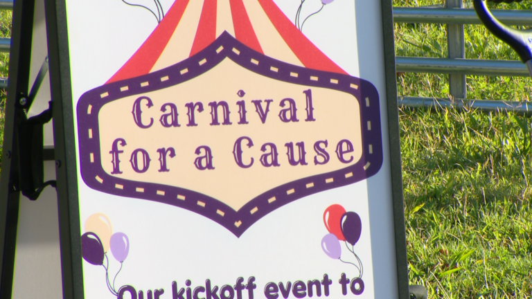 ‘Carnival for a Cause’ raises awareness for Alzheimer’s disease 'Carnival for a Cause' raises awareness for Alzheimer's disease