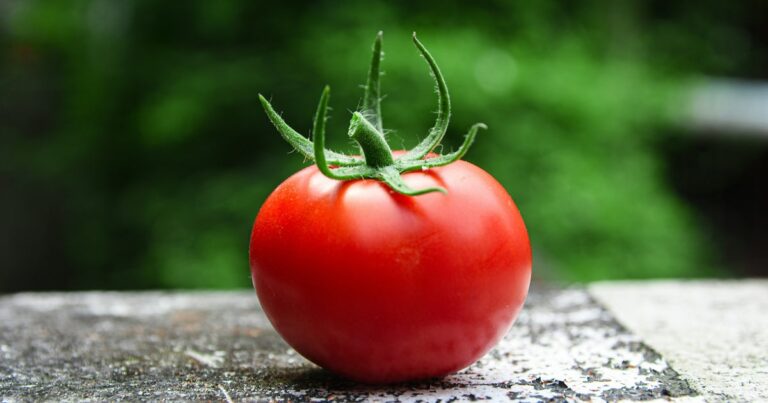 5 Foods That Help With Healthy Ageing (And 2 That Make It Worse)