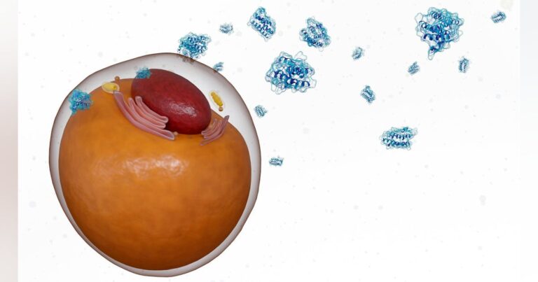 Adipokines as immunometabolic bridges: Linking obesity susceptibility, periodontal disease, hypertension, and systemic health