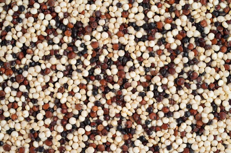 The 6 Grains Nutrition Experts Recommend for Better Gut Health