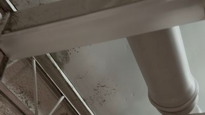 IMG_7323.jpeg