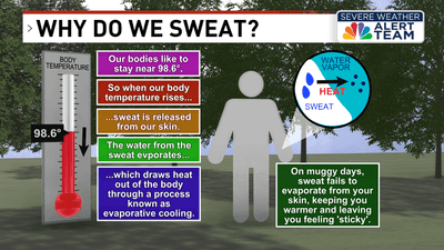 Why do we sweat?
