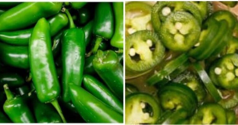 Public health alert for various meat and poultry products containing recalled jalapeños Public health alert for various meat and poultry products containing recalled jalapeños