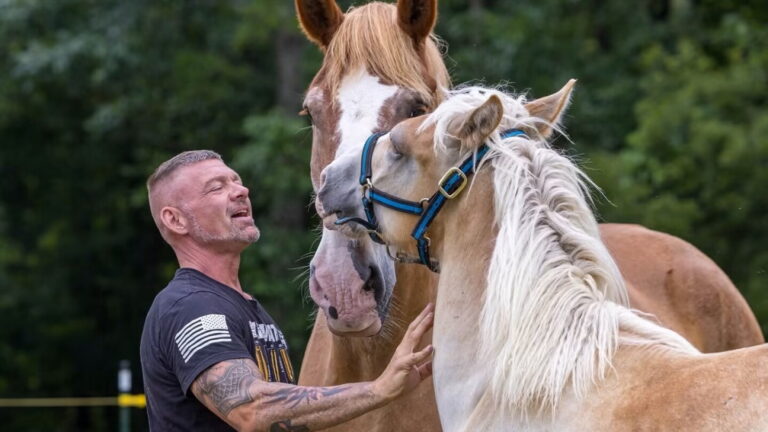 What horses can teach us about supporting those who answer the call
