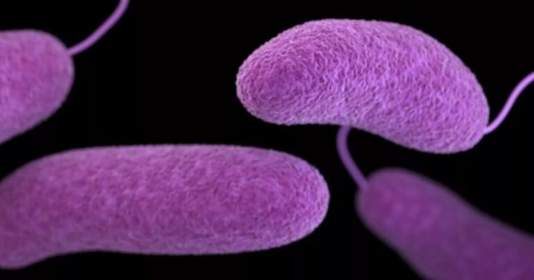 Second Florida death related to flesh-eating Vibrio bacteria reported in Marion County