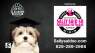 K-9 Classroom: Sally Said So 'Reliable Recall'