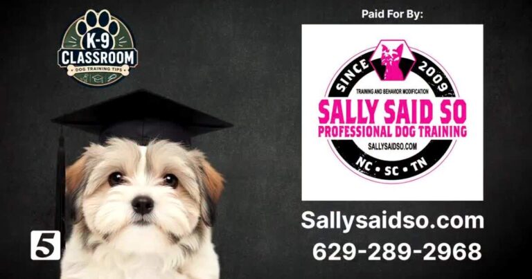 K-9 Classroom: Sally Said So Professional Dog Training gives life
