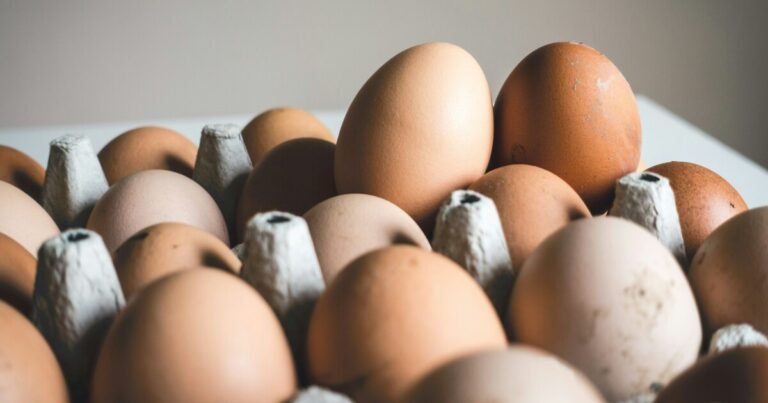 New Minnesota law expands feeding power of eggs