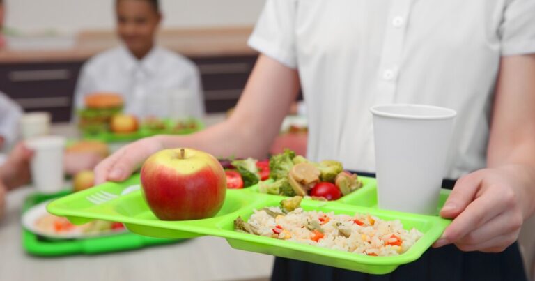 Average packed school lunch is now over $6: How to pack a healthy lunch for less