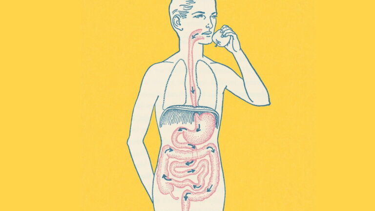 Enveda’s exercise-simulating obesity tablet clears early clinical test
