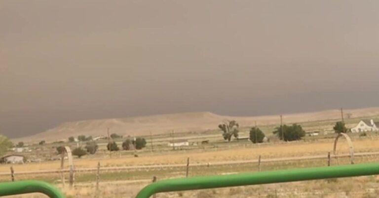 Wildfire smoke blankets Utah, bringing health concerns and falling ash Wildfire smoke blankets Utah, bringing health concerns and falling ash