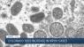 Colorado sees summer surge in Mpox infections