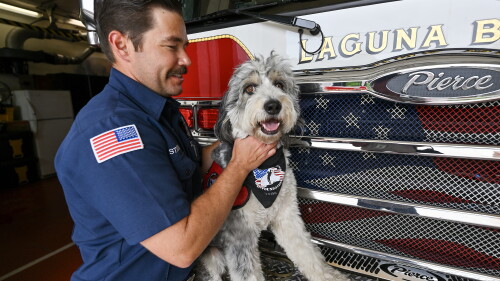 LIFE-HEALTH-FIRST-RESPONDERS-TRAUMA-DOG-FILEPIC-5-OC