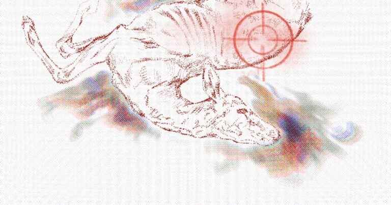 Hunting can slow chronic wasting disease. But could it increase human risk?
