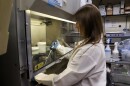 Kristin Weinstein in the laboratory
