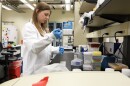PhD Candidate Kristin Weinstein