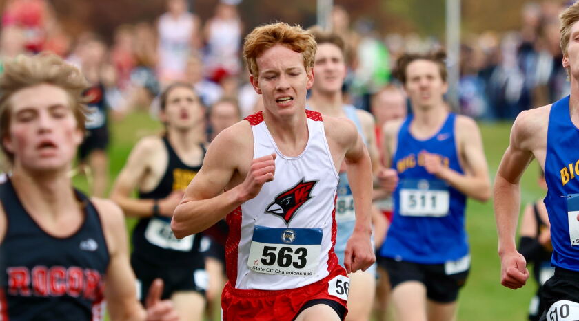 Willmar junior Zach Engstrom runs in a pack during the Class AA boys state cross-country championship meet on Saturday, Nov. 1, 2025 at Les Bolstad Golf Course in Falcon Heights.