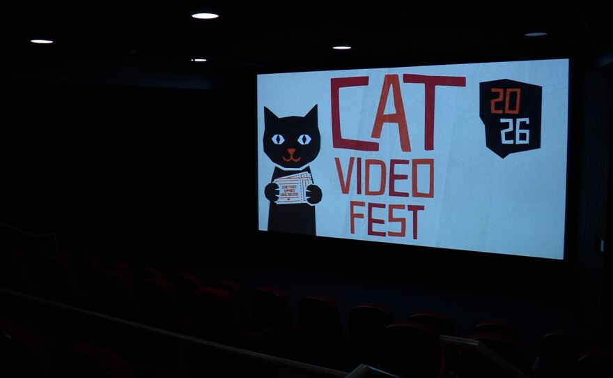 The logo for CatVideoFest 2026 is shown on the screen at the Digital Gym Cinema in downtown San Diego on Aug. 6, 2026.