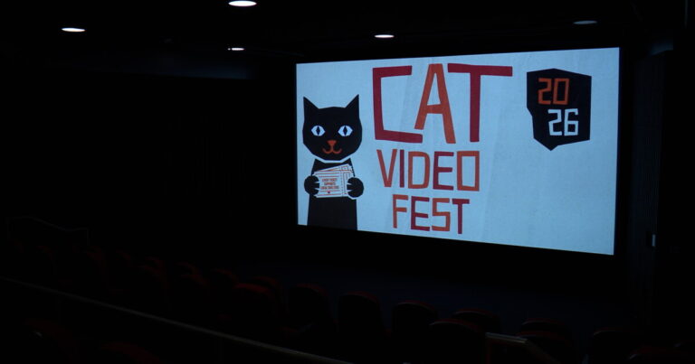 Fabulous felines hit the big screen in San Diego Fabulous felines hit the big screen in San Diego