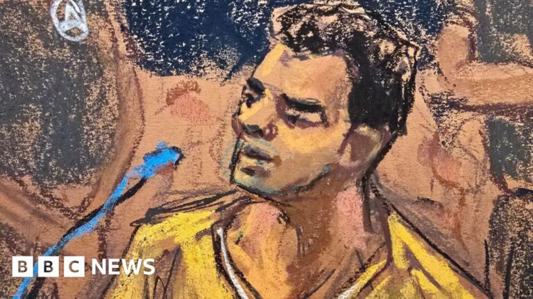 Luigi Mangione admits killing healthcare CEO and pleads guilty to federal charges
