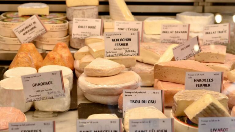 Cheese-Lovers Unite: The Benefits of Full-Fat Dairy Documented in Study Without Cholesterol Rise or Weight Gain Cheese-Lovers Unite: The Benefits of Full-Fat Dairy Documented in Study Without Cholesterol Rise or Weight Gain