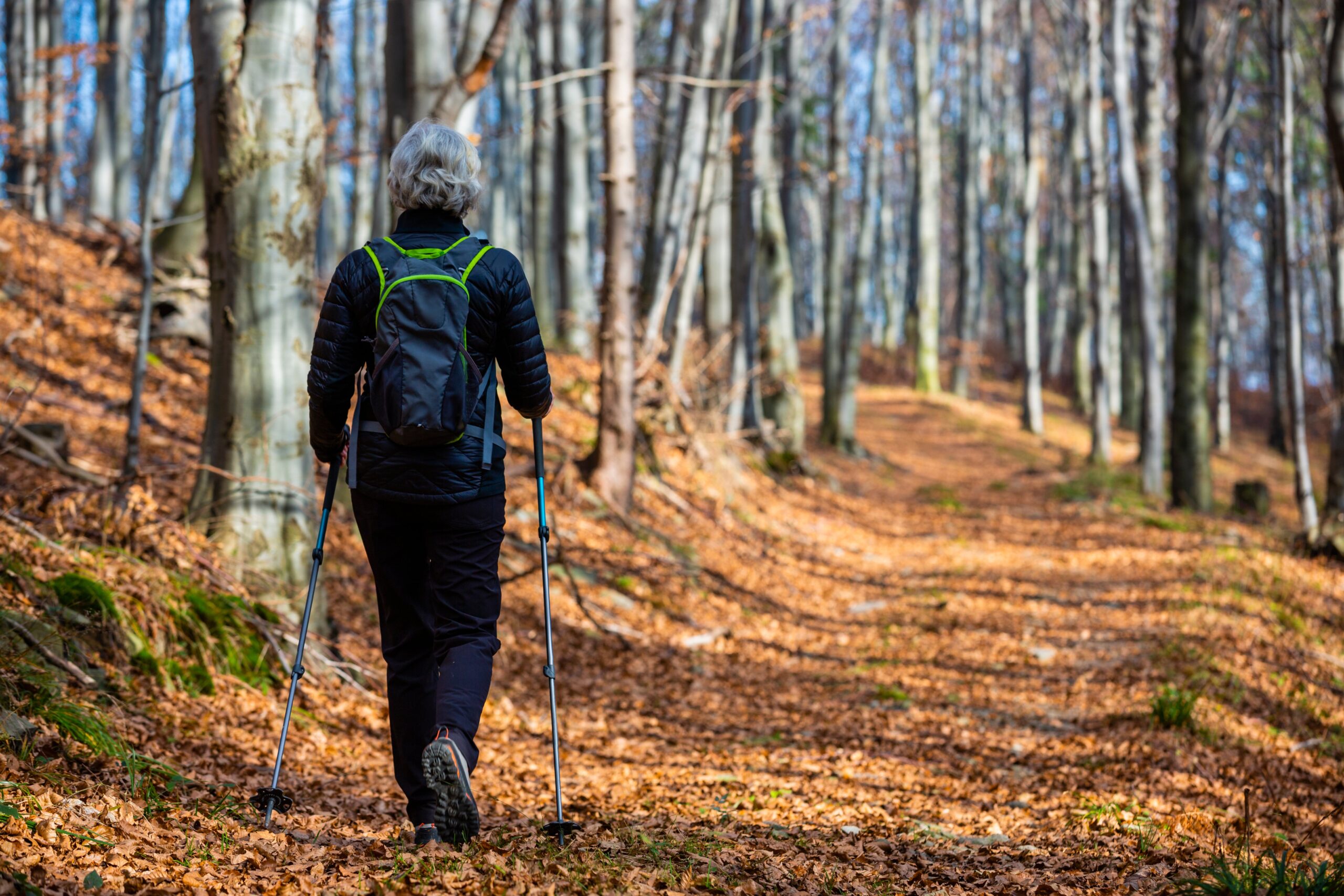 The use of poles can take stress away from the hip, knee and ankle joints, delivering a lower impact form of cardiovascular exercise than running