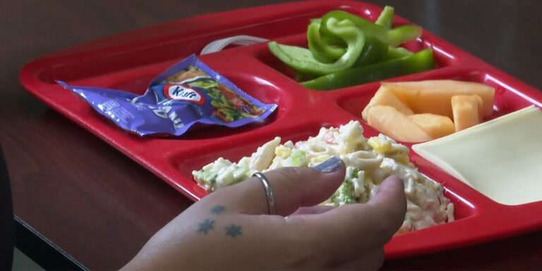Nutrition a key ingredient for Vermont students heading back to school Nutrition a key ingredient for Vermont students heading back to school