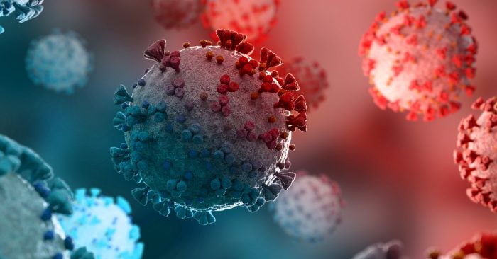 How well do COVID antivirals actually work? Not as well as we thought How well do COVID antivirals actually work? Not as well as we thought