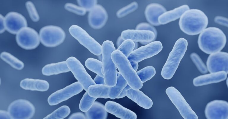 The microbiota: a ‘mirror’ of deadly diseases – why we need to rethink our approach to processed foods