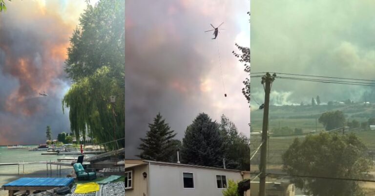 Bradley Creek wildfire over 1,000 hectares as new blaze sparks near Bear Creek Bradley Creek wildfire over 1,000 hectares as new blaze sparks near Bear Creek