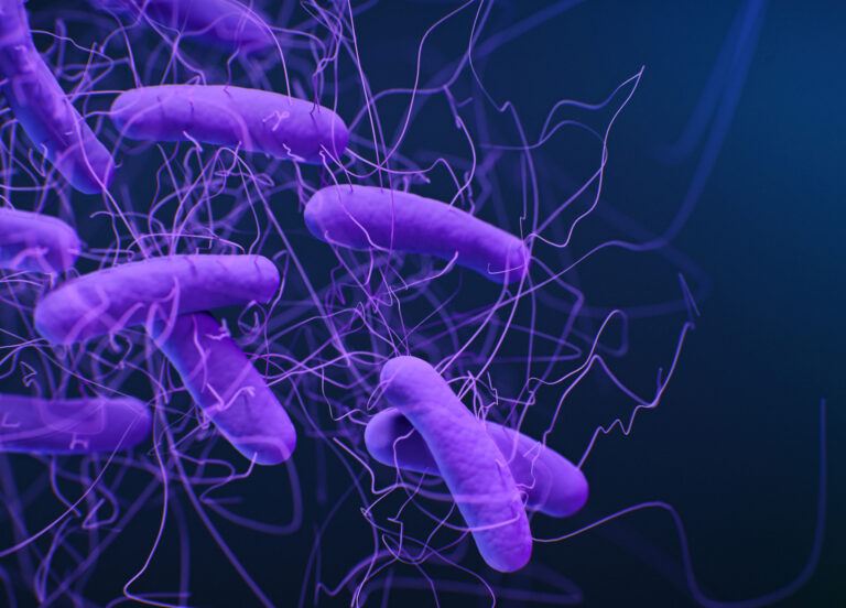 Vanderbilt Health evaluating vaccine for C. difficile for people 65 and older