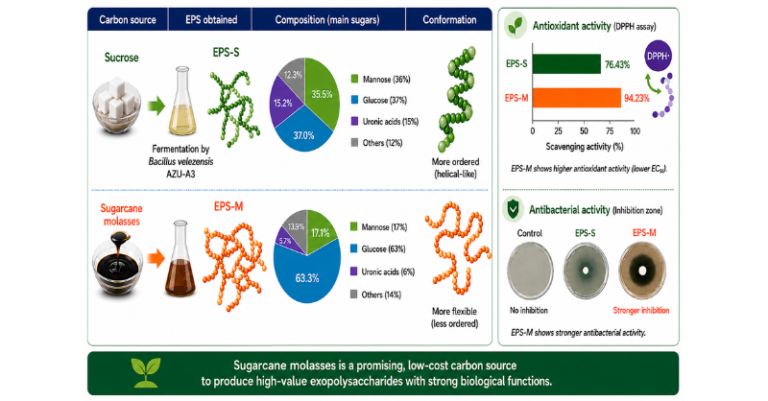 Diet Tweaks Boost Microbes' Biomaterial Output