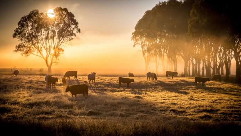 Australian farmers front new mental health campaign Australian farmers front new mental health campaign