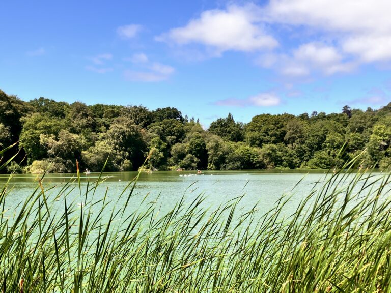 Water and Wellbeing: The People And Nature Blue Spaces Report