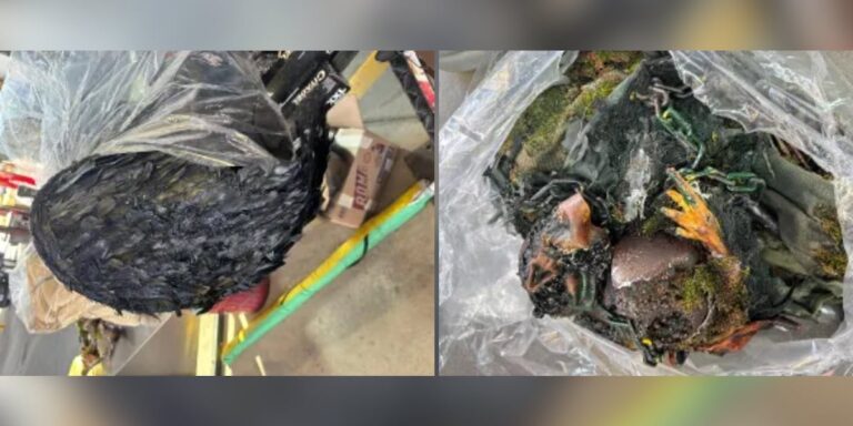 Strange costumes stopped at Arizona border; CBP cites disease concerns Strange costumes stopped at Arizona border; CBP cites disease concerns
