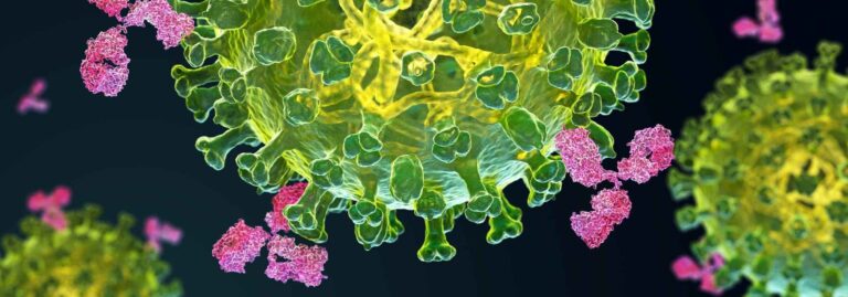 Hidden Immune Cells in the Lung Could Lead to Better Flu Vaccines