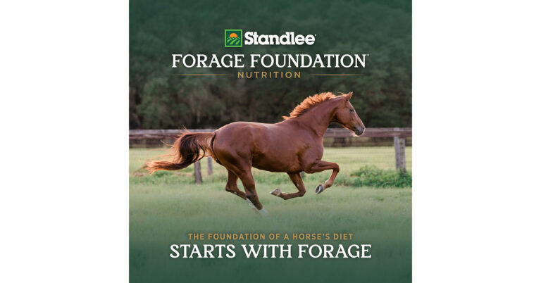 Standlee Launches Forage Foundation™ to Advance the Role of Forage in Equine Nutrition Standlee Launches Forage Foundation™ to Advance the Role of Forage in Equine Nutrition
