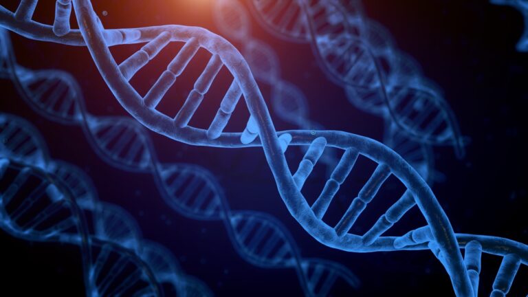 One gene may be quietly impacting your ability to lose weight in adulthood One gene may be quietly impacting your ability to lose weight in adulthood