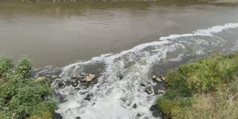 ‘Everybody has a voice in the sewer’: Lincoln’s wastewater is a public health gem; how is the health department using it?