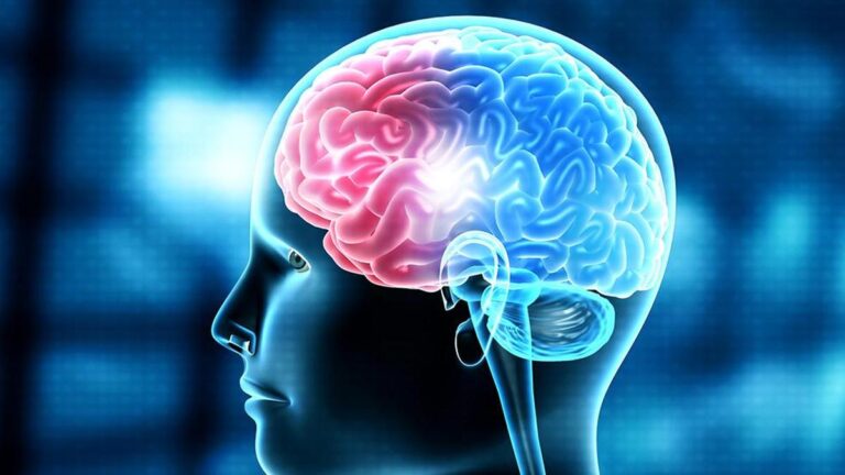 Peripheral inflammation may drive brain damage in rare neurological disorder, finds NIMHANS study