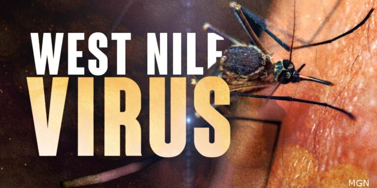 First human case of West Nile virus confirmed in North Dakota; Cass County resident hospitalized First human case of West Nile virus confirmed in North Dakota; Cass County resident hospitalized