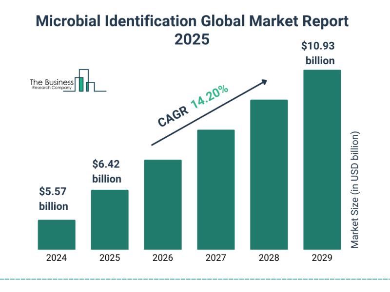 Microbial Identification Market Report Evaluates Growth Drivers, Challenges And Market Dynamics