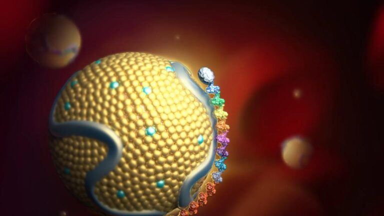 First in Human Long-Acting Gene Silencing Therapy Significantly Lowers Heart Disease Risk Marker with One Injection