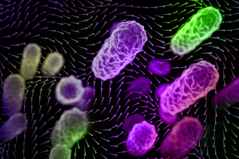 The importance of indoor airflow patterns in spreading airborne disease The importance of indoor airflow patterns in spreading airborne disease