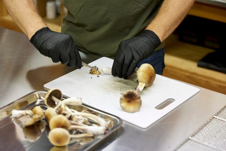 Two Alabama VA facilities to be part of psilocybin clinical trials