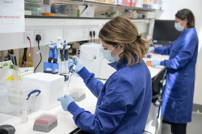The researchers plan to conduct a silent clinical evaluation, where iGenRare runs in the background on real clinical cases. Photo: EAA