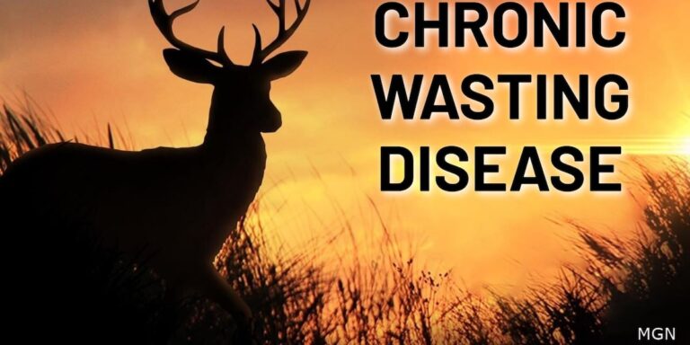 Portage County deer farm tests positive for chronic wasting disease Portage County deer farm tests positive for chronic wasting disease